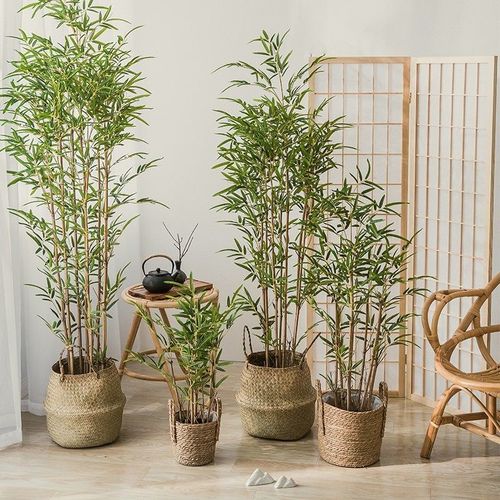 假花卉装饰盆景与花卉绿植租借 兼具审美与实用的解决方案