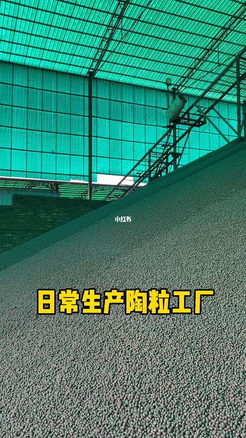 工厂店放心拍 陶粒养花小知识，附花卉绿植租借指南