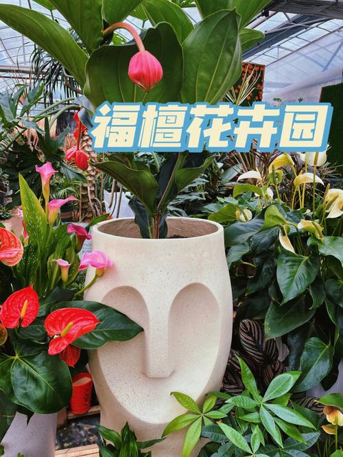 魔都探店｜生活明朗，鲜花可爱——隐匿在都市里的花卉绿植园
