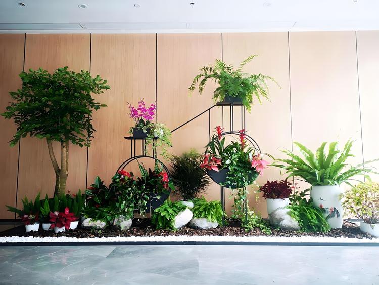 办公室植物租赁与蛇口花卉绿植出租全指南 上门养护、免费更换，打造绿色办公空间