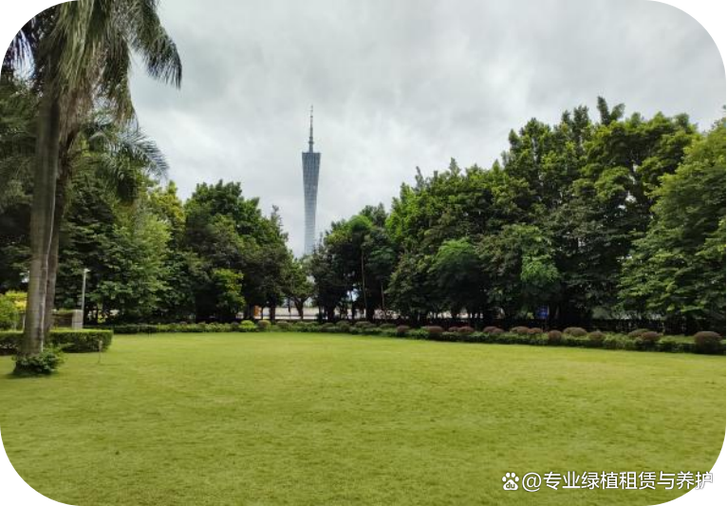 绿植租赁服务的运作机制与行业认知——以天河区花草出租供应商为例